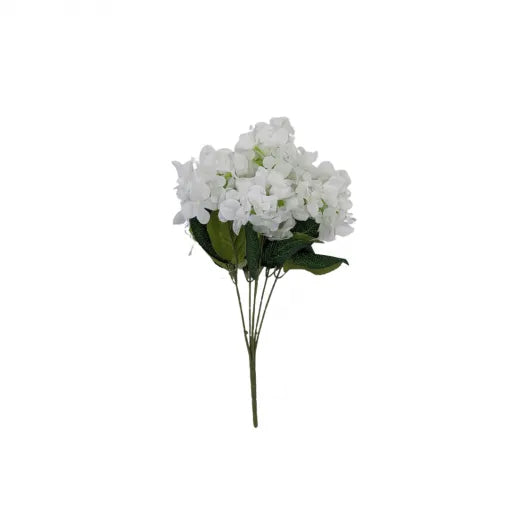 Hydrangeas White