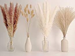Pampas Flowers
