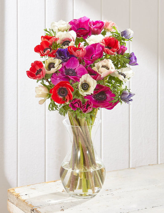 Anemonas