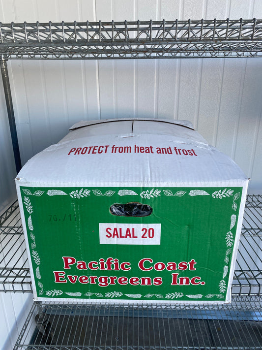 Lemon Box
