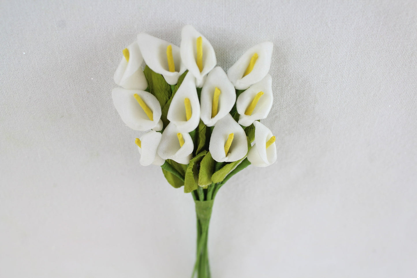 Calla lily