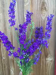 Larkspur