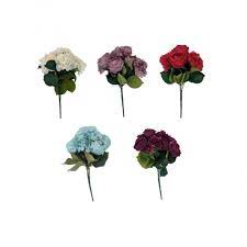 Hydrangea Color