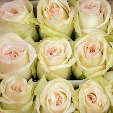 White roses 90