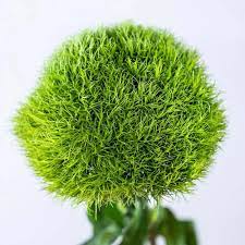 Green Ball