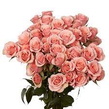spray rose