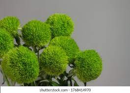 Green Ball