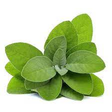 Sage