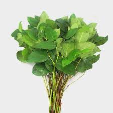 Lemon Leaf