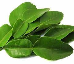 Lemon Leaf