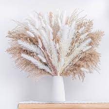 Pampas Flowers