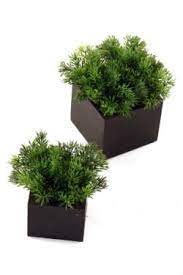Pine mix Box