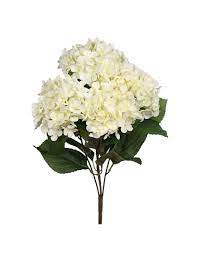 Hydrangeas White
