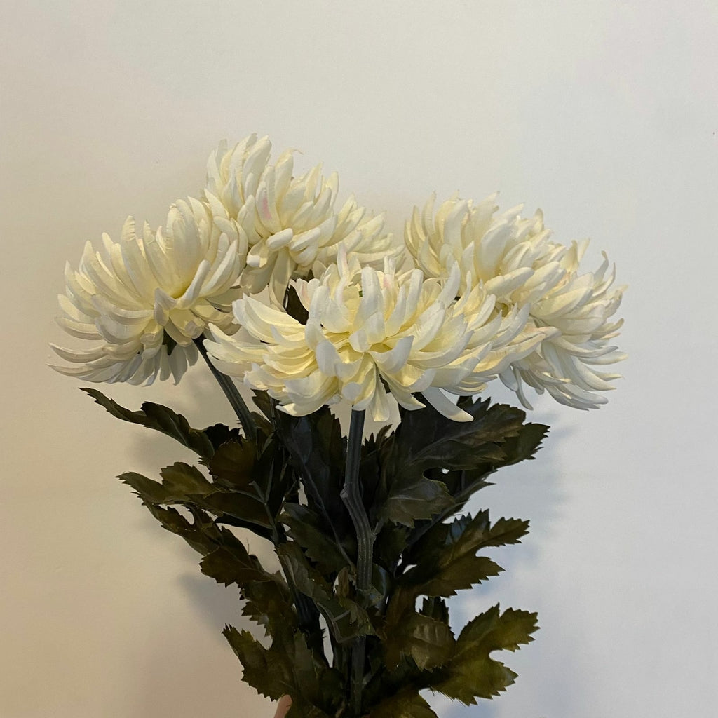 China Mums